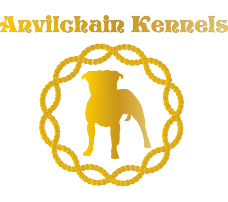 Anvilchain Kennels